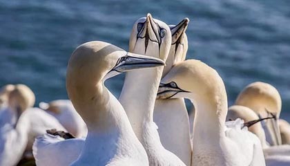 林芝2026年最新医保提取中介联系微信方法介绍(分享医保卡中介取现)